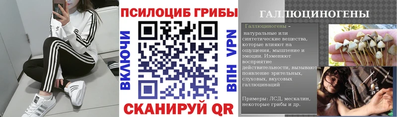 blacksprut ONION Белокуриха Псилоцибиновые грибы ЛСД